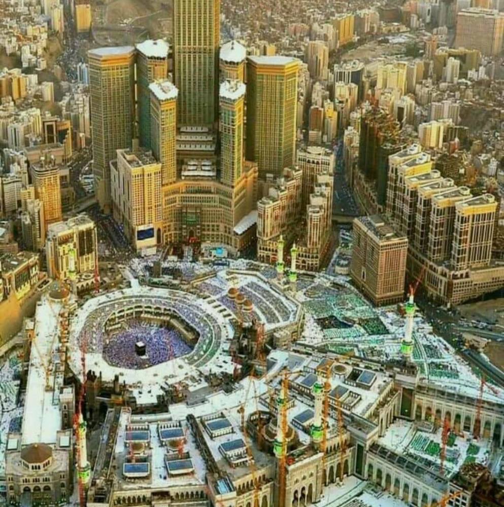 Meet your Posher, Mohammed